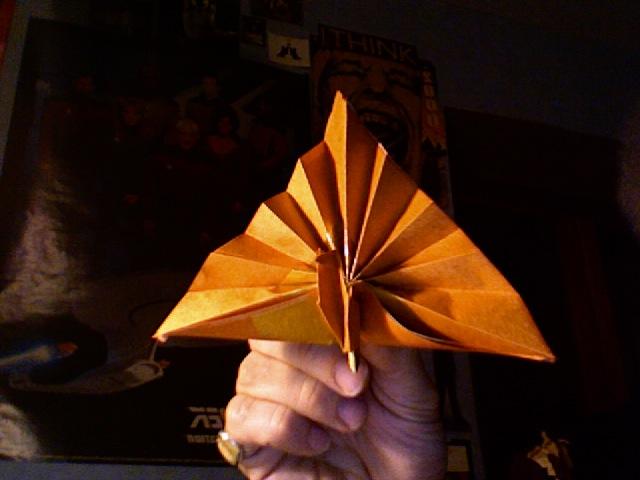 Origami/ Peacock